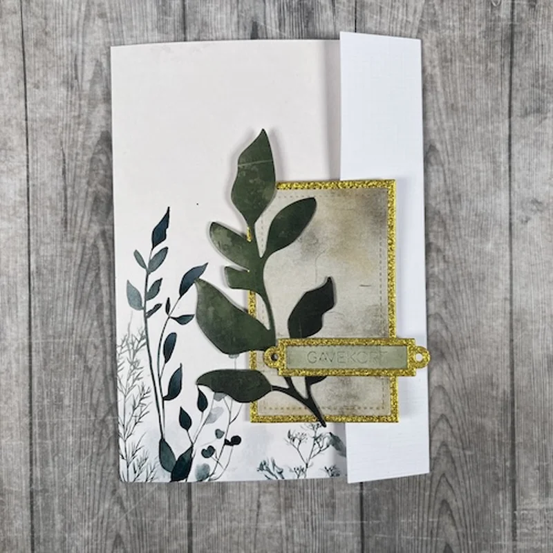Contant geld cadeau Gefelicite - Baby Clothing Names recensie en prijs